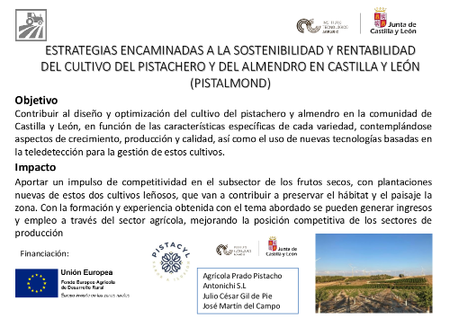 ESTRATEGIAS ENCAMINADAS A LA SOSTENIBILIDAD Y RENTABILIDAD DEL CULTIVO DEL PISTACHERO Y DEL ALMENDRO EN CASTILLA Y LEÓN (PISTALMOND)